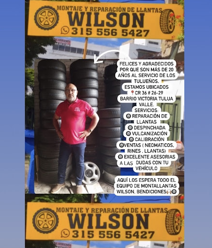 MONTALLANTAS WILSON