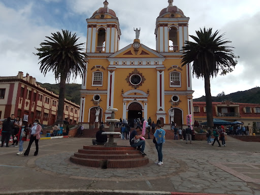 Pasto Pasto