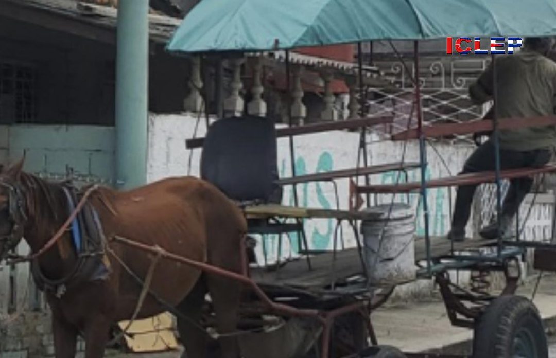 Los mejores Cocheros en Girón para tu negocio 1 los mejores cocheros en giron para tu negocio