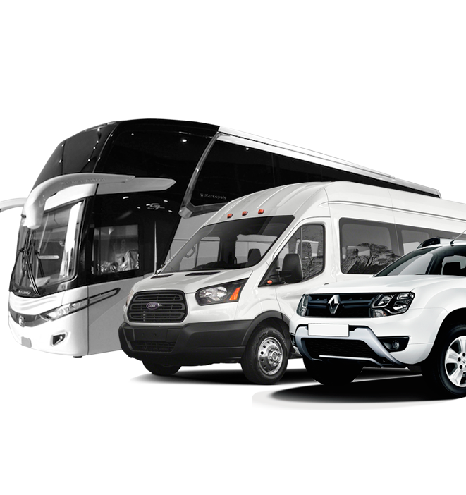 Los mejores Cocheros en Socorro para tu transporte 1 los mejores cocheros en socorro para tu transporte